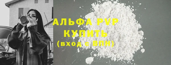 ECSTASY Богородск