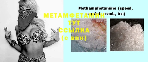 стафф Богданович