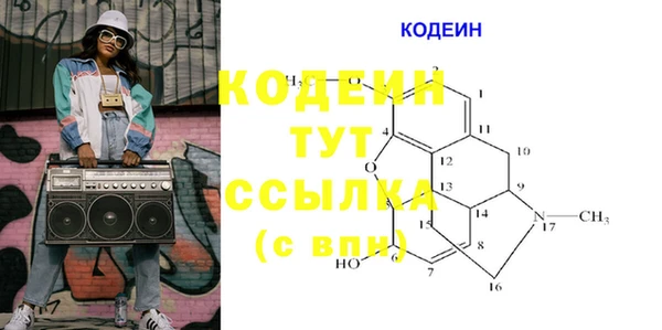 прущие грибы Верея