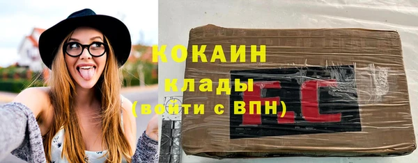 прущие грибы Верея